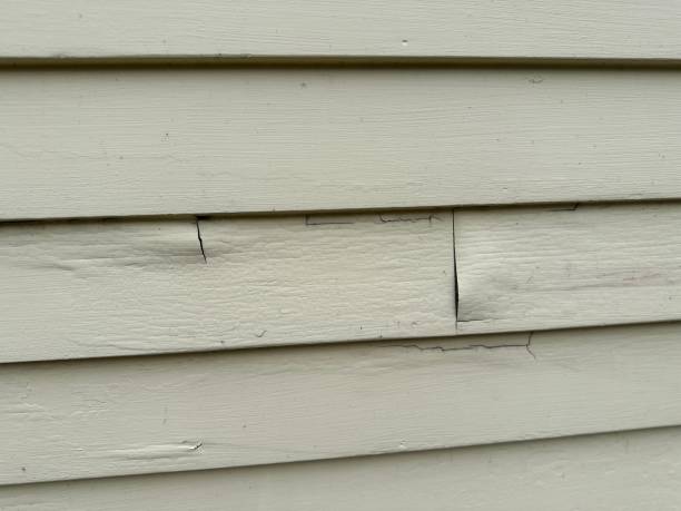 Affordable Siding Repair and Maintenance Services in Stiles, PA